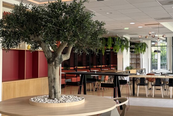 arbre restaurant